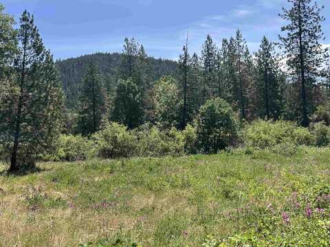 xxxxx Seiad Creek Rd, Seiad Valley, CA 96087