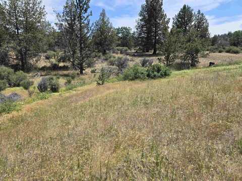 lot 298 Eel drive, Hornbrook, CA 96064