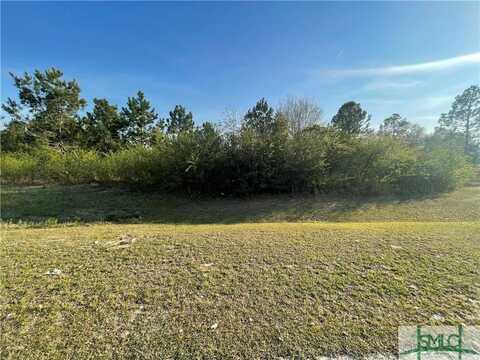 0 Effingham Highway, Sylvania, GA 30467