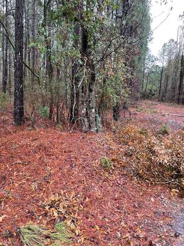 Archer Avenue, Manning, SC 29102