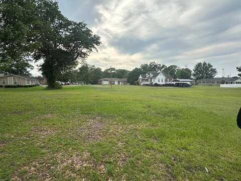 Lots 3&4 Atkinson Street, Turbeville, SC 29162