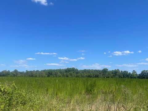 0 N Kings Highway, Sumter, SC 29154