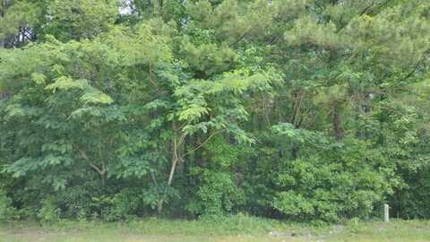 1321 Herod Drive, Manning, SC 29102