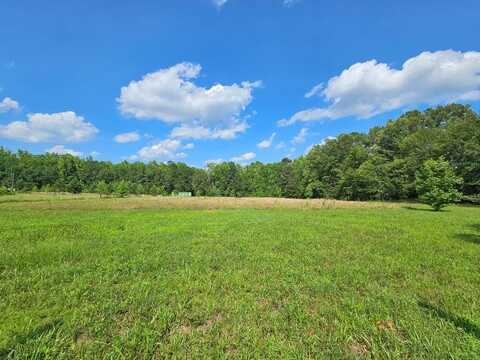 Tbd Pompey Town Road, Greeleyville, SC 29056