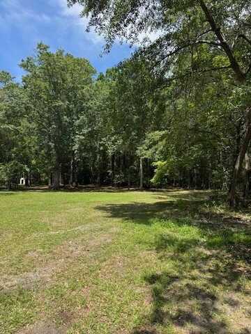 133 Rutledge Drive Drive, Eutawville, SC 29048