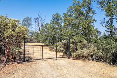 20 Acres Rolling Ridge Road, Cottonwood, CA 96022