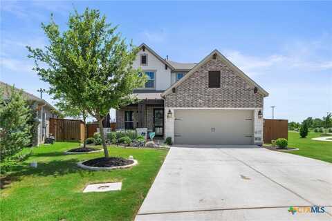2232 Sawdust Drive, Georgetown, TX 78633