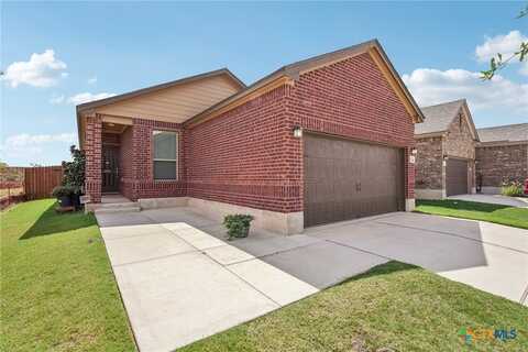 3955 La Contenta Lane, Round Rock, TX 78665