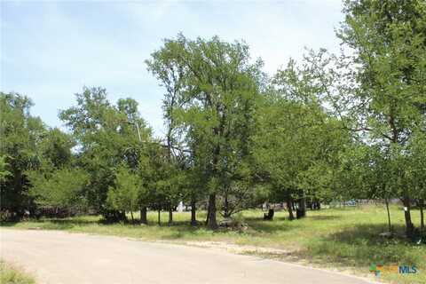 10 Hackberry Court, Belton, TX 76513