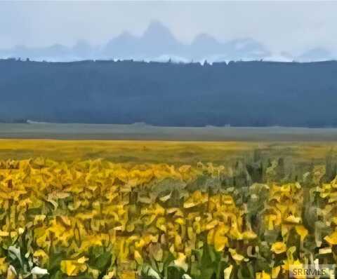 3205 Sheep Creek Road, Island Park, ID 83429