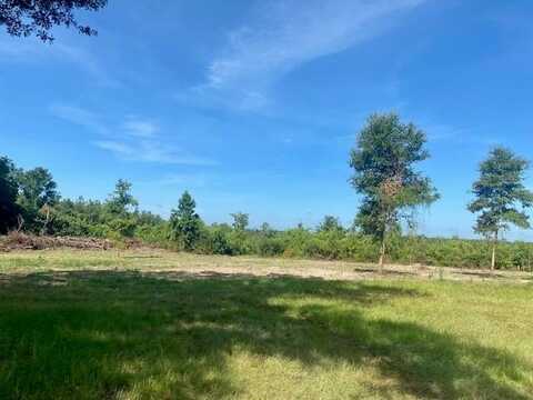 00 Dewitt Lane, Other, MS 70427