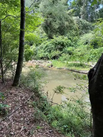 TBD Catbird Lane, Magnolia, MS 39652