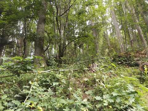 Tbd Chalet Dr., Fancy Gap, VA 24328