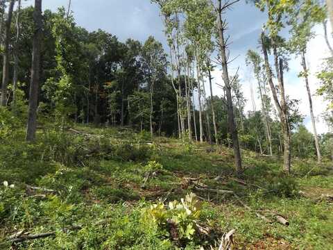 Tbd Danville Pike, Laurel Fork, VA 24352
