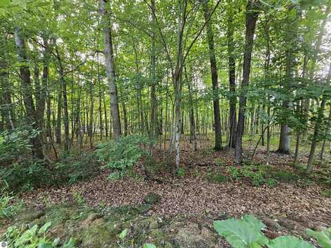 lOT 6 Jose Lake Drive, South Branch, MI 48761