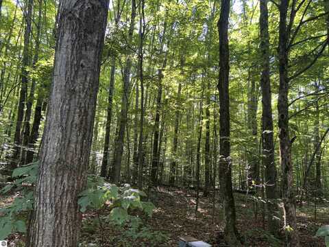 Lot 41 Heideldorf Lane, Bellaire, MI 49615