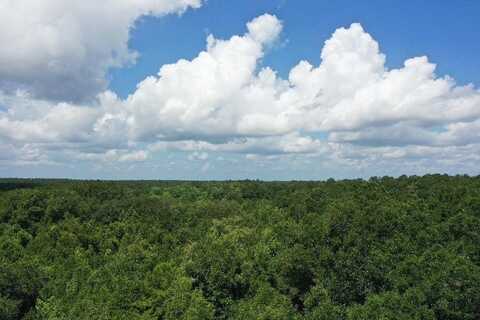 S Lanier Road, Havana, FL 32333