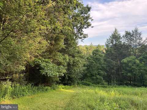 TADPOLE ROAD, PENNSYLVANIA FURNACE, PA 16865