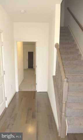 9516 MARY GENEVA LANE, OWINGS MILLS, MD 21117