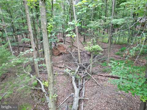 494 CAYUGA TRAIL, HEDGESVILLE, WV 25427