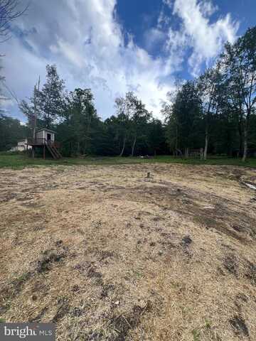 19402 OLD DANS ROCK ROAD, MIDLAND, MD 21542