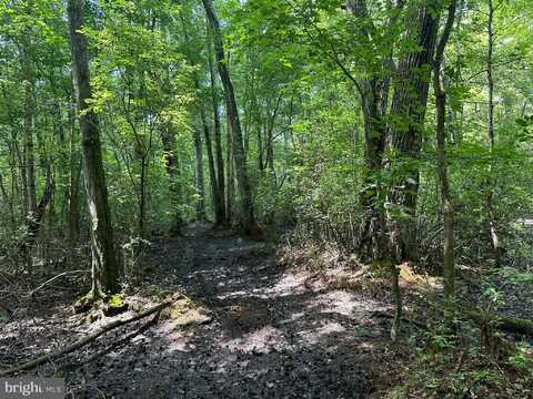 TEMPLE ROAD, MARYDEL, MD 21649