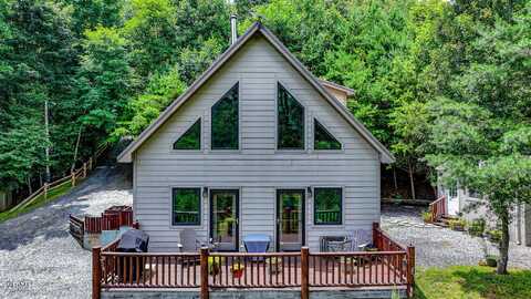 408 Eagle Ridge Road, Roan Mountain, TN 37687