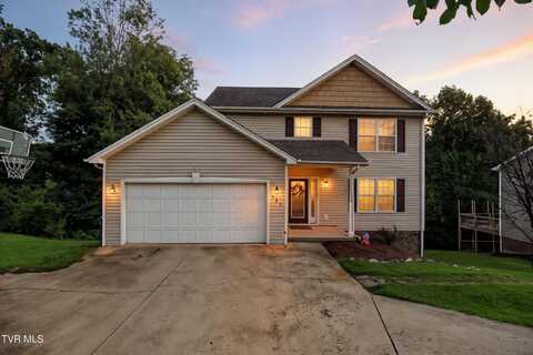 315 Henrys Lane, Bristol, VA 24202