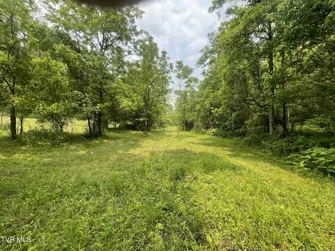 1028 East Pumpkin Valley Road, Eidson, TN 37731