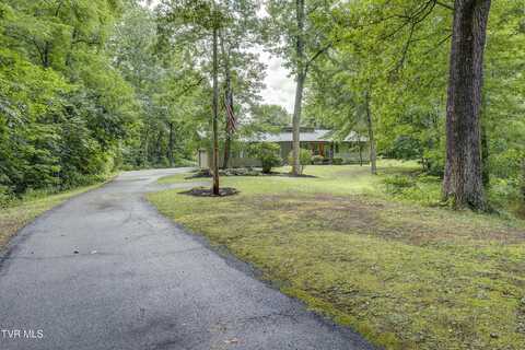 115 Shadyrest Drive, Gray, TN 37615