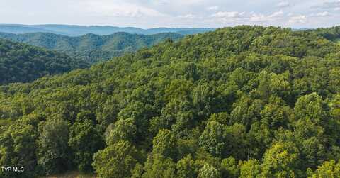 0 Gravley Valley Road, Eidson, TN 37731
