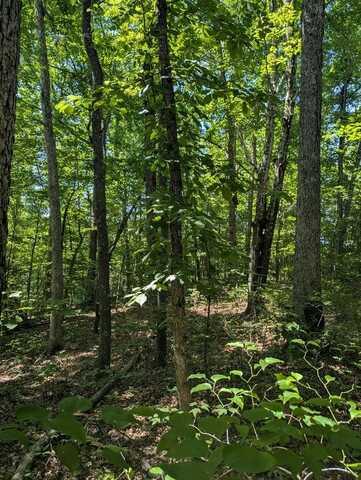 lot 22 Street Place Loop, MONTEREY, TN 38574