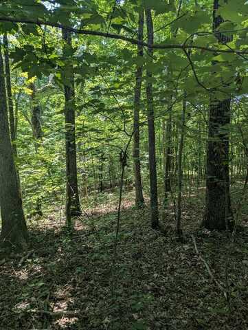 lot 23 Street Place Loop, MONTEREY, TN 38574