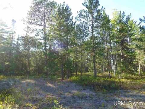 51734 Rice Lake, Lake Linden, MI 49945