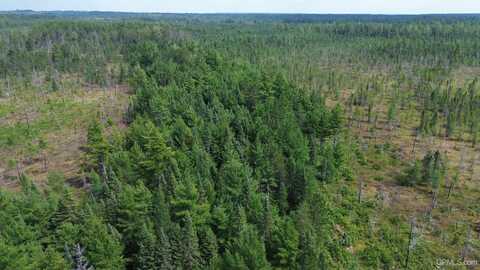 9040 Bone Lake, Newberry, MI 49868