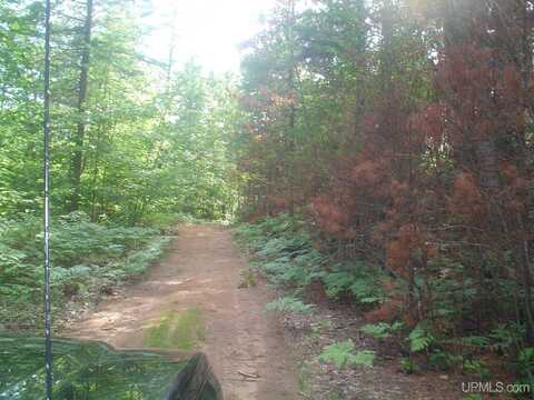 9040 Bone Lake, Newberry, MI 49868