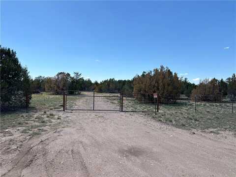614 N Carson Trail, Seligman, AZ 86337