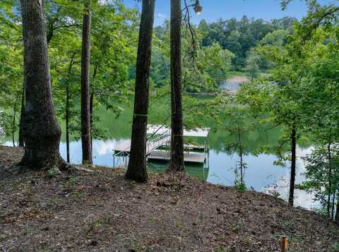 6714 COUNTY ROAD 40 LOT 12, Arley, AL 35541