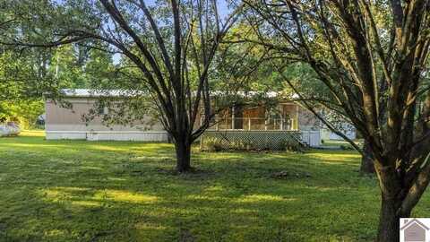 62 Twin Trees, Cadiz, KY 42211