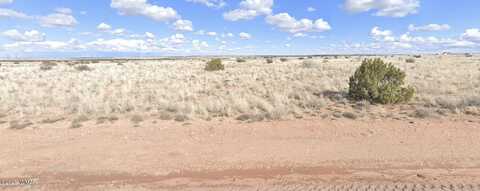 79 N Old Woodruff Road, Snowflake, AZ 85937