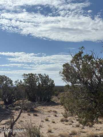 8580 D Lawson Lane, Snowflake, AZ 85937