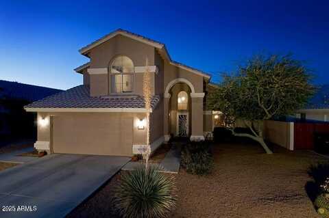 1674 W MACAW Drive, Chandler, AZ 85286