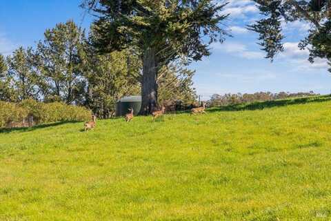 511 Fairview Court, Petaluma, CA 94952