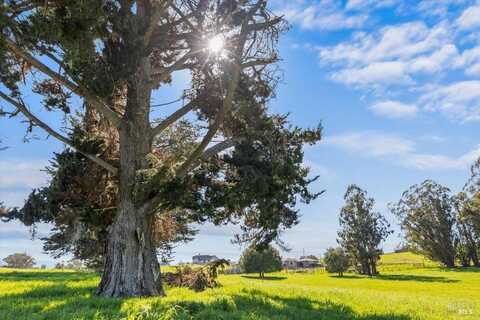 549 Fairview Court, Petaluma, CA 94952