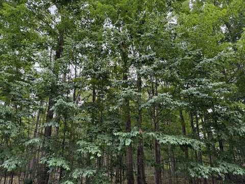 11175 Hassler Woods Trail, Alanson, MI 49706