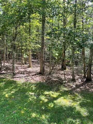 222 Mountain Laurel, DANIELS, WV 25832