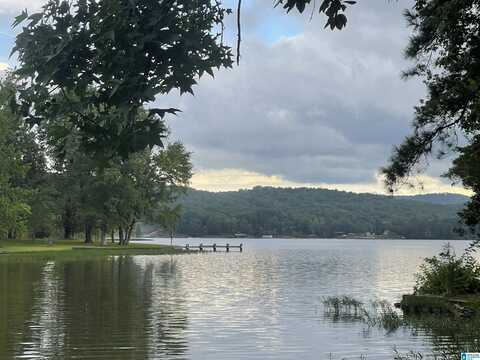 000 HIAWATHA PLACE, RAINBOW CITY, AL 35906