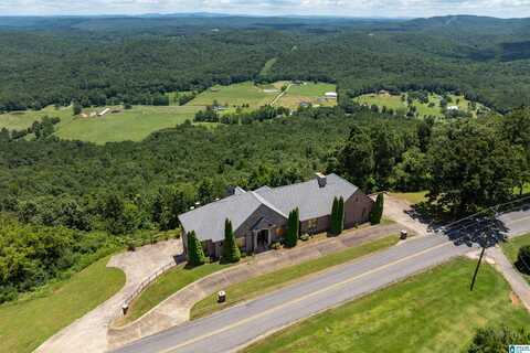 8378 PINE MOUNTAIN ROAD, SPRINGVILLE, AL 35146