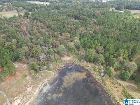 0 COUNTY ROAD 26, ASHVILLE, AL 35953