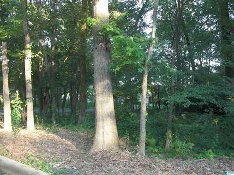 5715 CAMDEN AVENUE, BIRMINGHAM, AL 35228